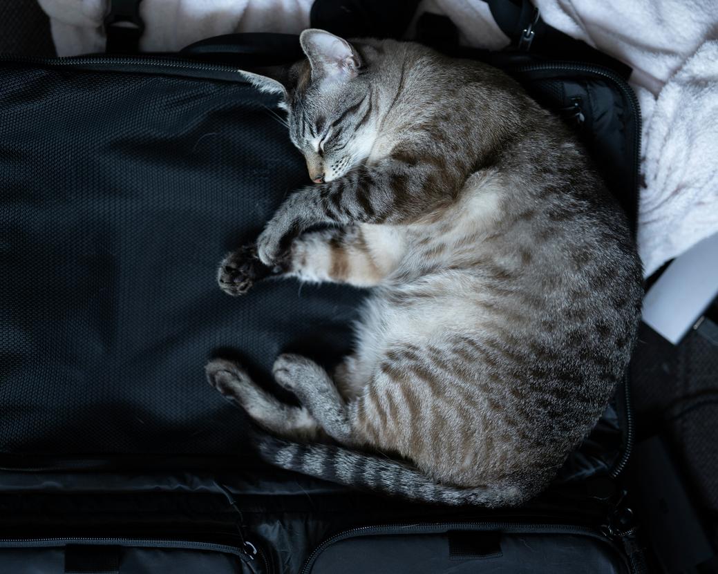 compact packing