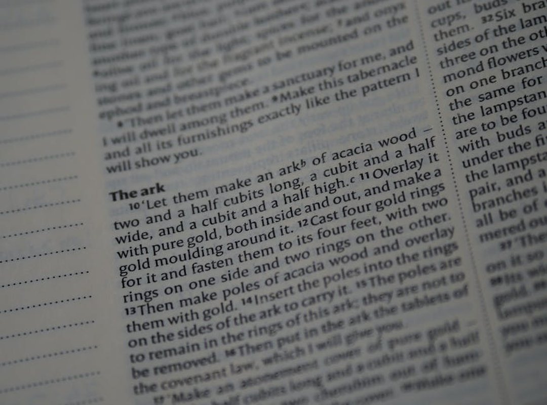 Verse 2: Deepening the Narrative