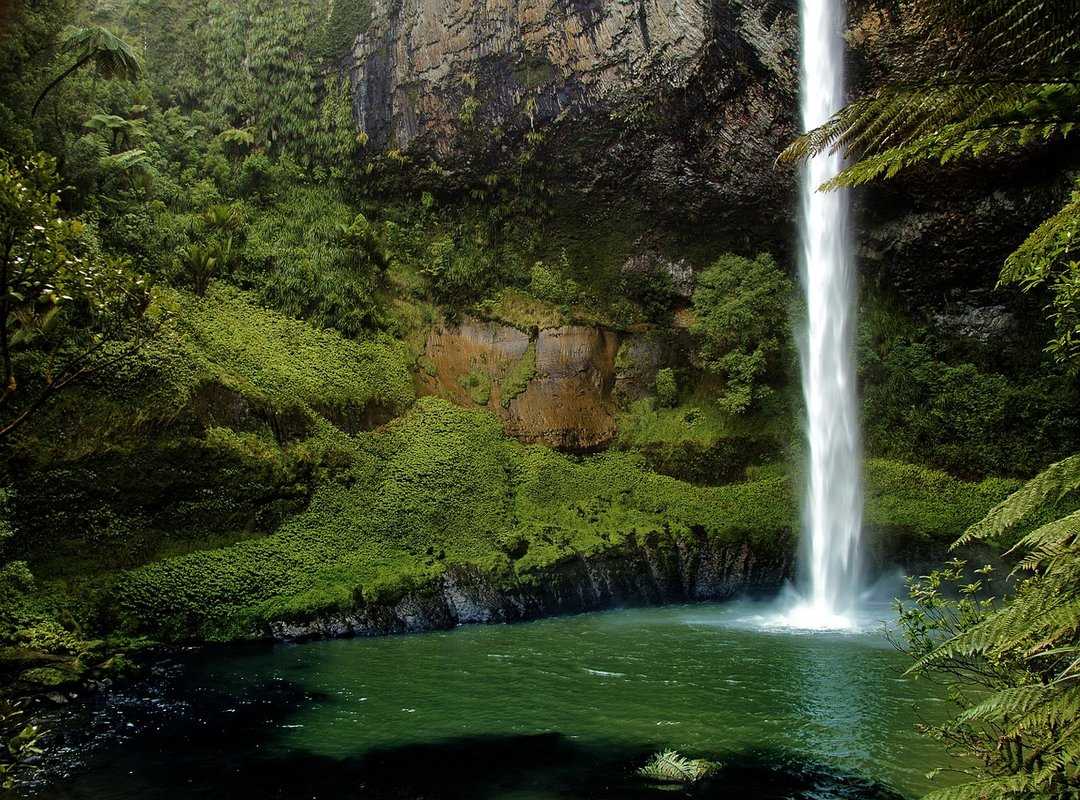 New Zealand landscapes campervan
