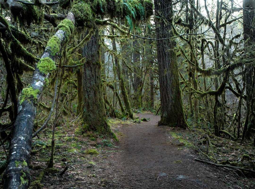 Pacific Northwest backpacking