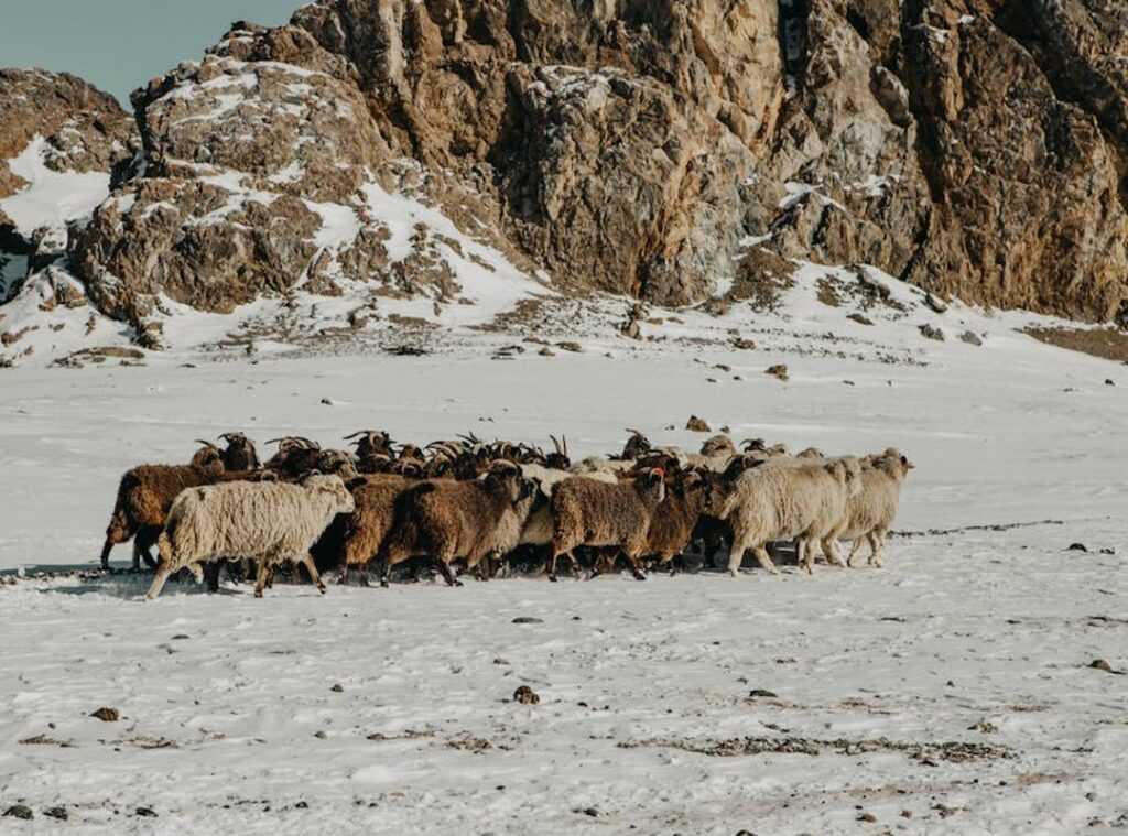 pack for multiple climates