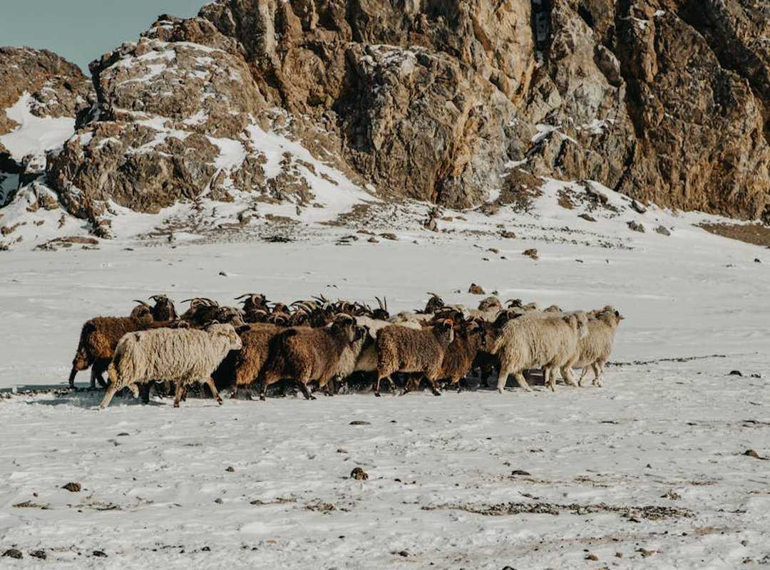 pack for multiple climates