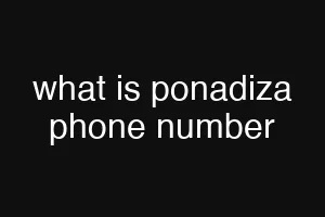 what is ponadiza phone number